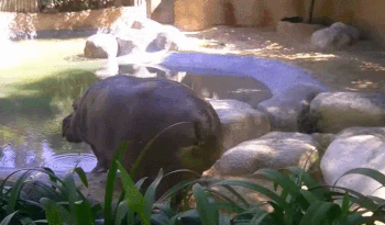 5b6a13043304b05c6466bb933a3893ea