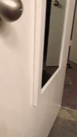 kote