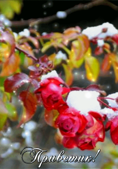 ezgif-2-c9324bb44862 (1)