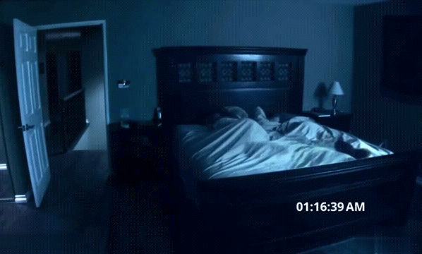 Приключения кота