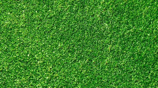 texture fű