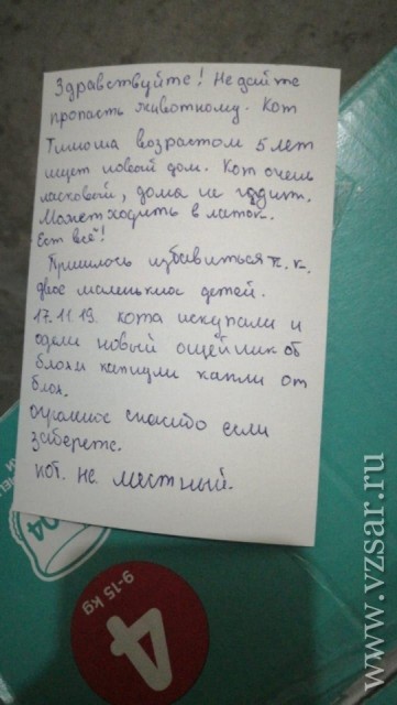 52336_1574155687_3_big