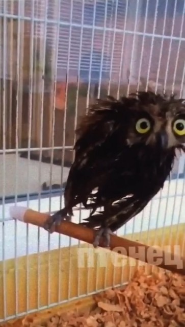 42357B02-8159-40E3-A18B-9DC3E63ABC93