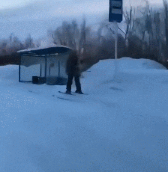 карлсон