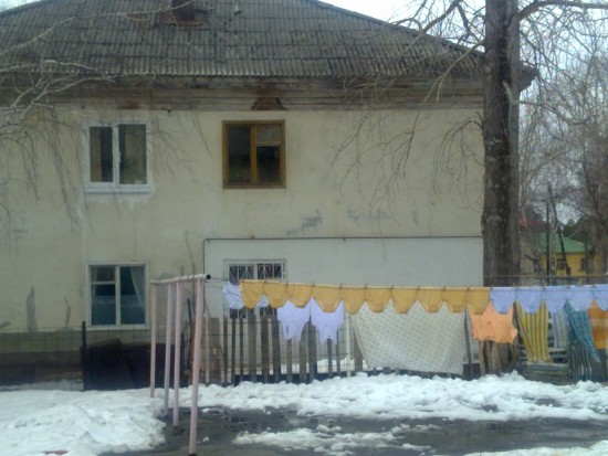 трусы