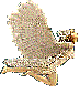 1_2_4