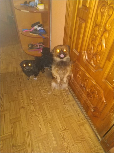 IMG_20191206_193048[1]