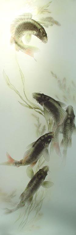 koiglass