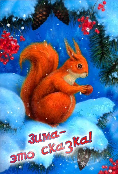 ezgif-1-8533537199de