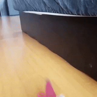 Post_GIF_2019-12-02_00_46_09
