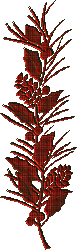 1_3_1