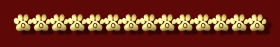 5_5