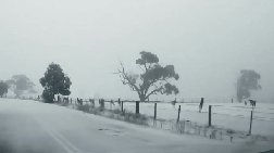 videotogif_20191211_124418-1576070038