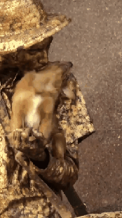 videotogif_20191211_130802-1576070660