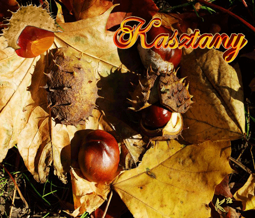 kasztany