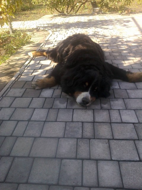 перед уходом