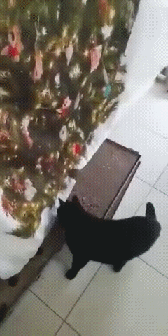 Ёлка не для котов