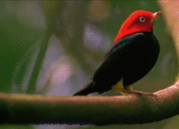 74bd66eb87da920536da12a5f96cec45