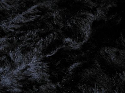 84728868_blackfur-min