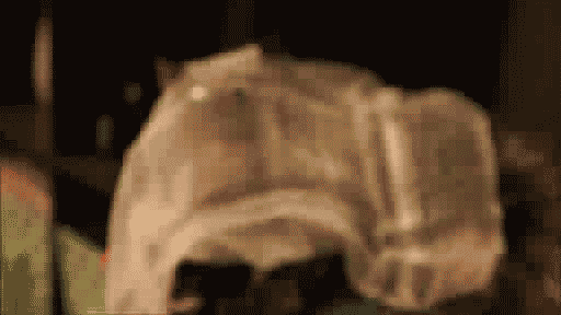 котопривидение