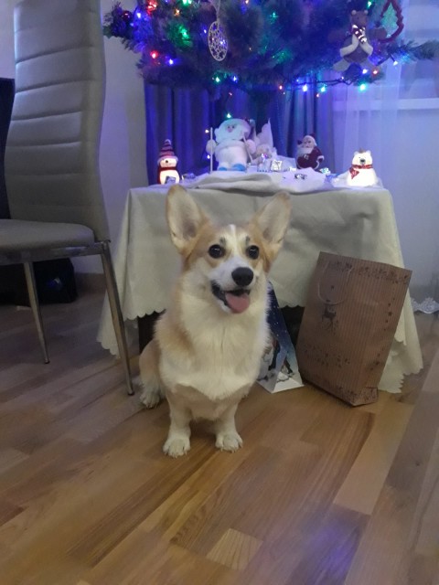 gg_2020-01-01_11-12-47