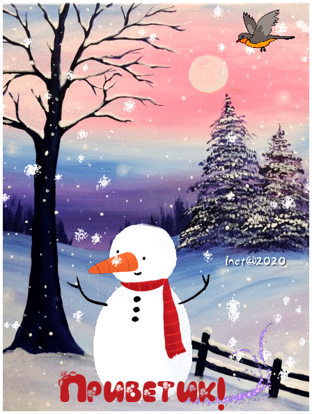 157858349678848402 (1)