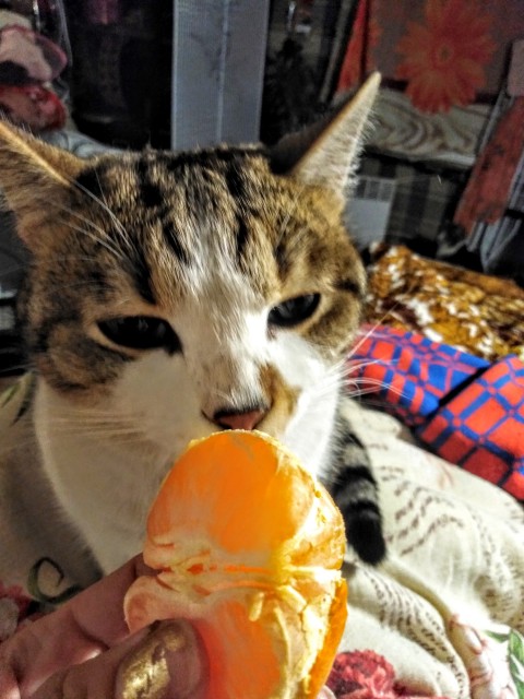 IMG_20200107_223252~2