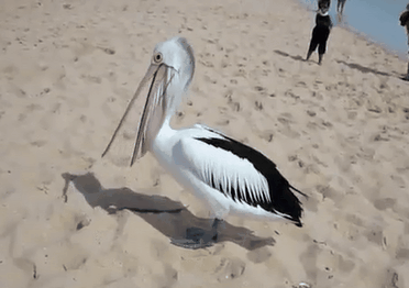 49706c2a2b528fae0a7763bd59fea122_342249_1579119592