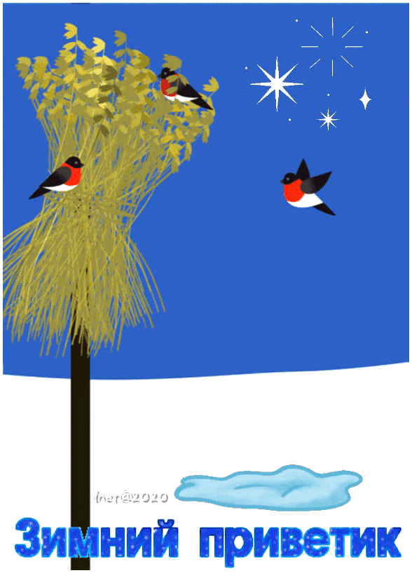 157973842940816014 (1)