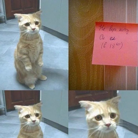 fdsfdsfsdfsdfds