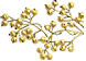 1_2_6_1