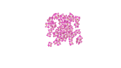 e5572128a83cf8aab3a45f4b98b01305