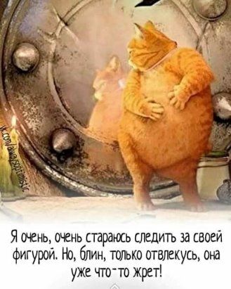 31af901e9768132bb24883a315fd71d8