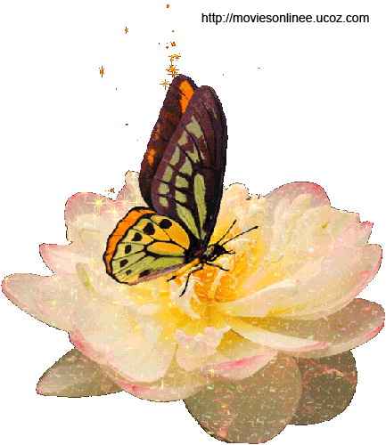 3a5cfa52ce89350601da466ded9109c5