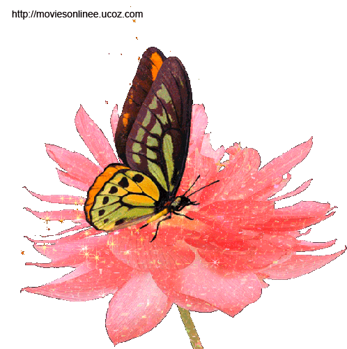 760e53c6a081501d6aa7aa052bf26024