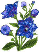 1b892feb5bfebeeffd5c93df6dafe006