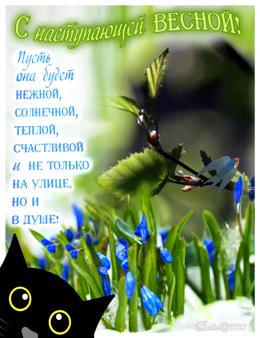 ezgif-7-49e5a8c364d4 (1)