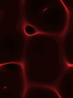 122594038