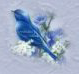 _1_arnusha