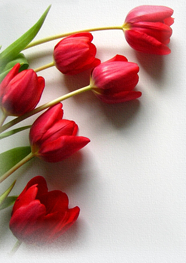 1_1_1