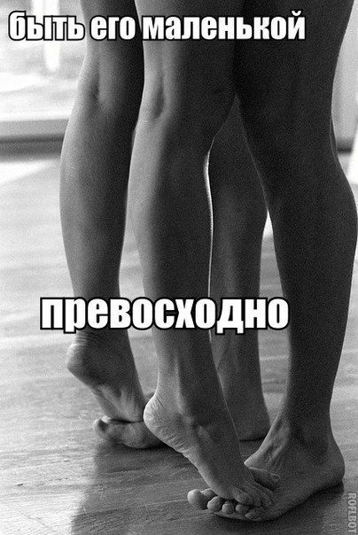 c4b00bf860c08eebd60275c0c9f14490