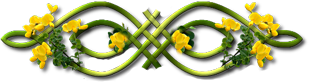 _2_arnusha