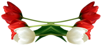1_7_9