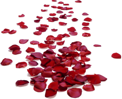 133517342_Valentine_Royalty__80_