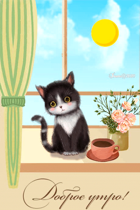 ezgif-3-05a36fbb6e07