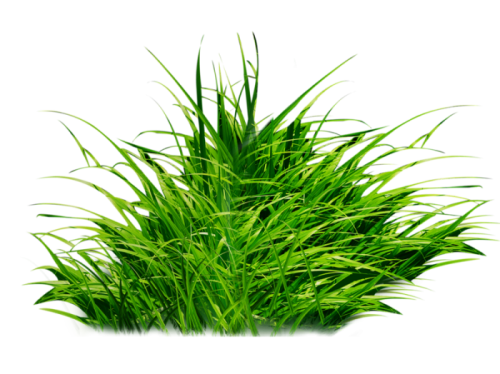 58ba93e23d7af15a98d1abcc