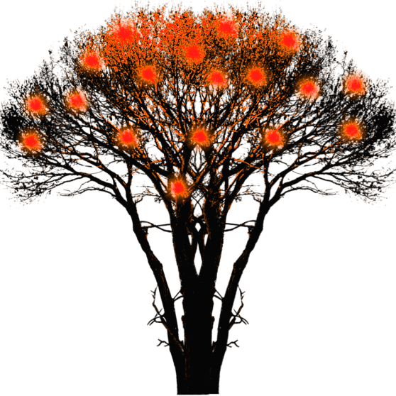 compressed-di9r