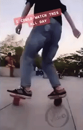 86245231