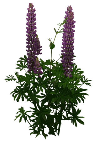 79