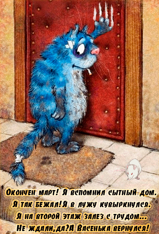 блудного кота